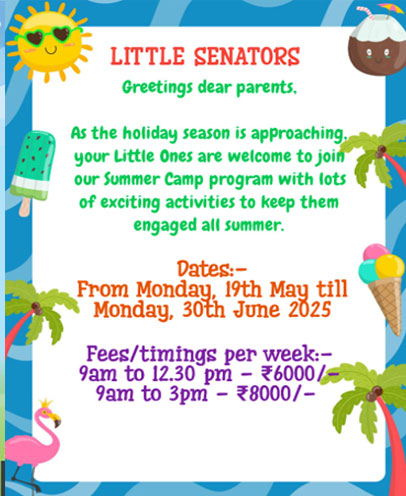 Summer Camp, Little Senators